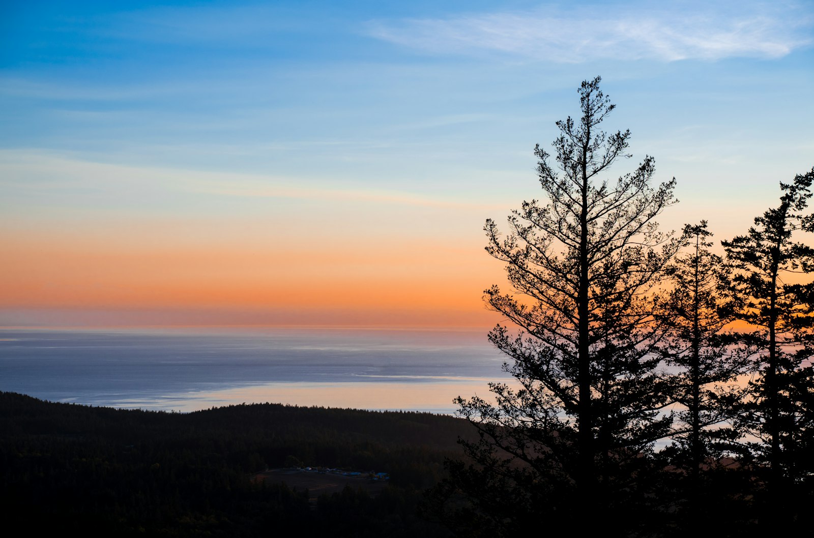 Bodega Bay coast at dusk — soft pink-gold light over the Pacific, weathered cypress silhouettes