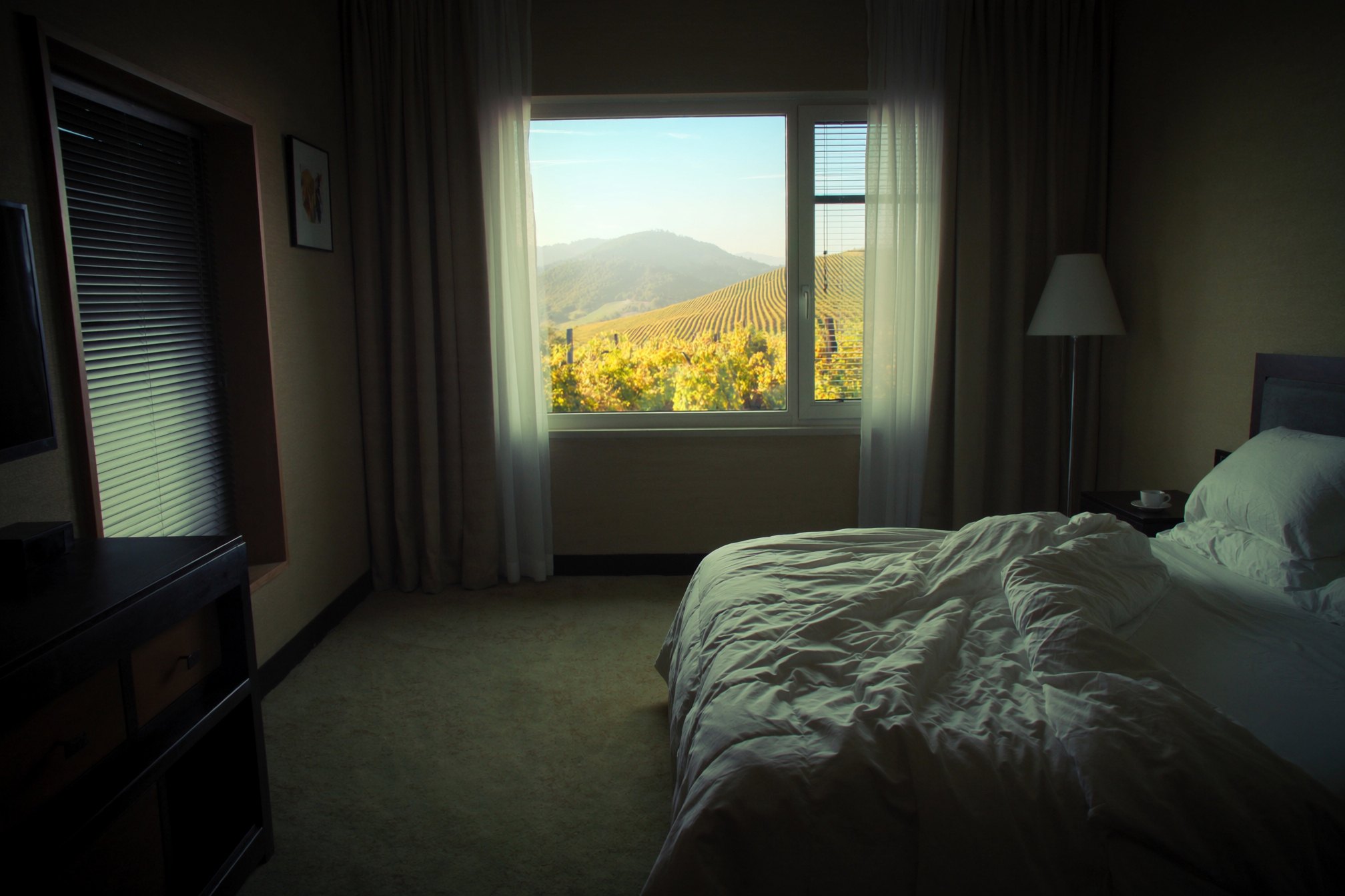 The Fabric That Does Something Before Anyone Else Is in the Room